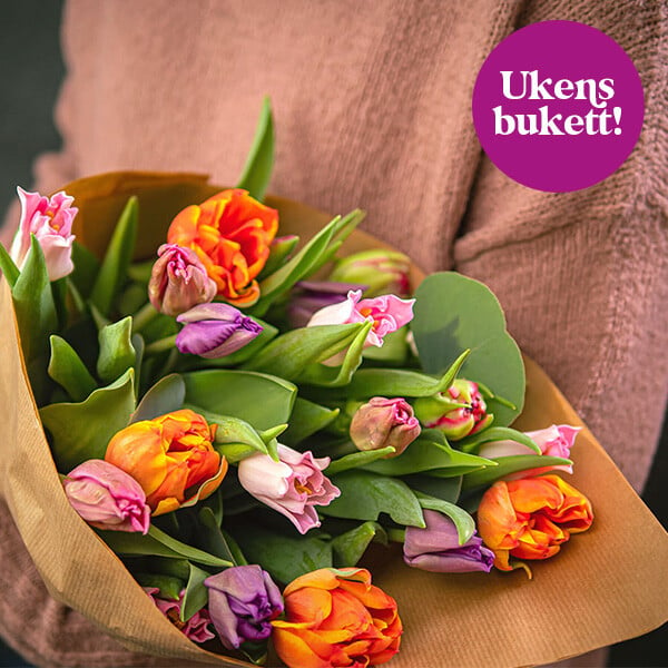 Product Image - Bouquet of the Week Splash (1)