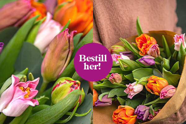 Split Image - Bouquet of the Week