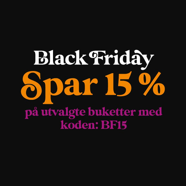 Top Image - Black Friday NO