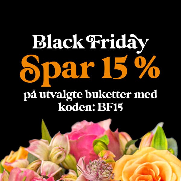 Top Image - Black Friday_3 NO